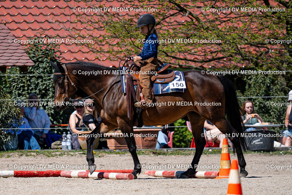 Balingen Tag 1-1112 | dv-media-shop - Realisiert mit Pictrs.com