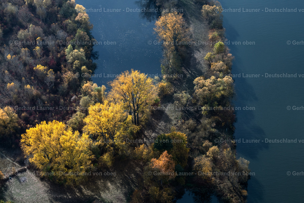 3807980 | Herbstliche Bäume bei Albertshofen