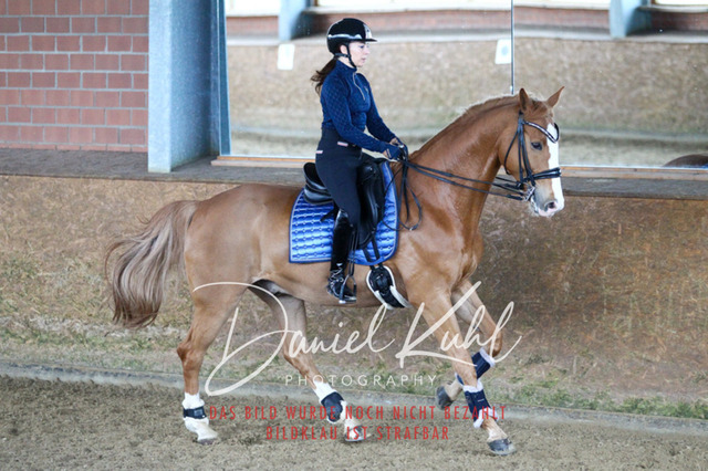 DKP42649 | Turniersportfotografie; Pferdefotografie; Dressurfotografie