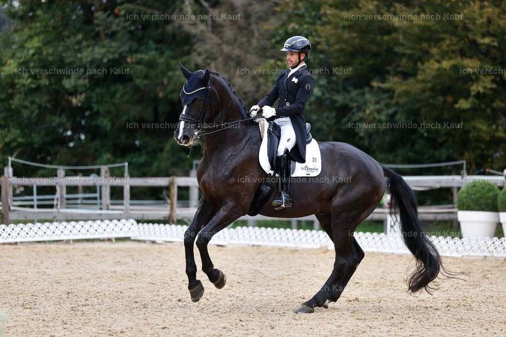 12-031-DRESSUR  S___  -StoibPH-5322 | working equitationturnier fotograf videograf stoibphotography marixx film working equitation deutschland reitsport turnierfotografie eventfotografie equestrian events