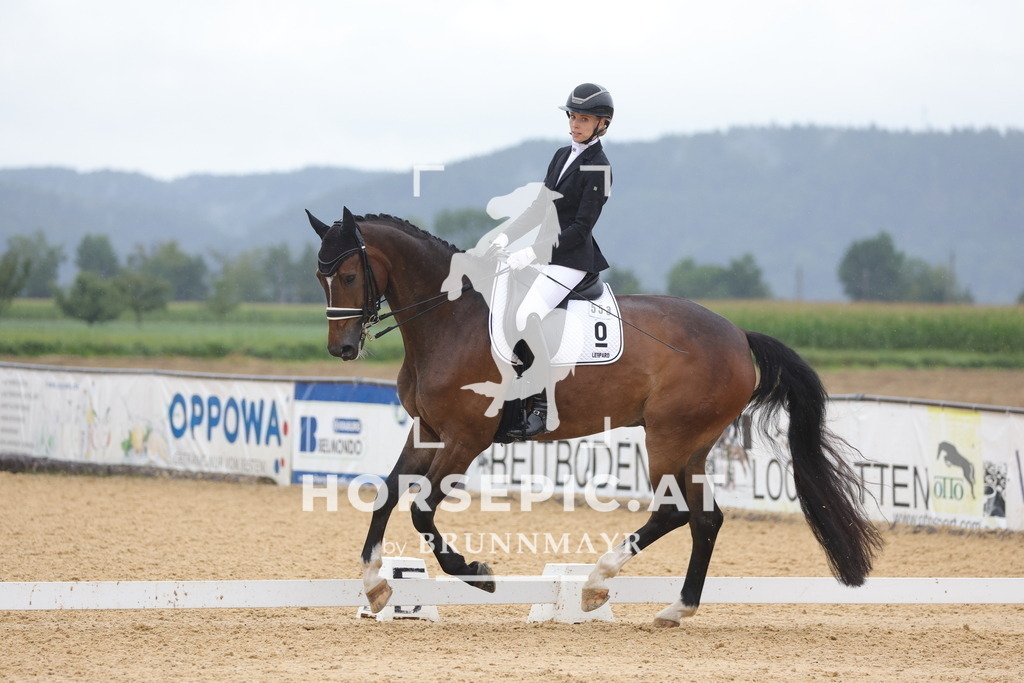 0P6A1012 | Willkommen bei Brunnmayr - Design & Fotografie – Ihrem Spezialisten für Reitturniere und Pferdeveranstaltungen in Oberösterreich, Salzburg und Bayern! Seit über 17 Jahren sind wir leidenschaftlich dabei.