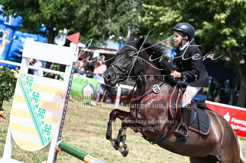 DSC_9769 | Pferde- und Turnierfotografie in Westsachsen. Pferdeportraits, Auftragszeichnungen und intuitive Kunst.