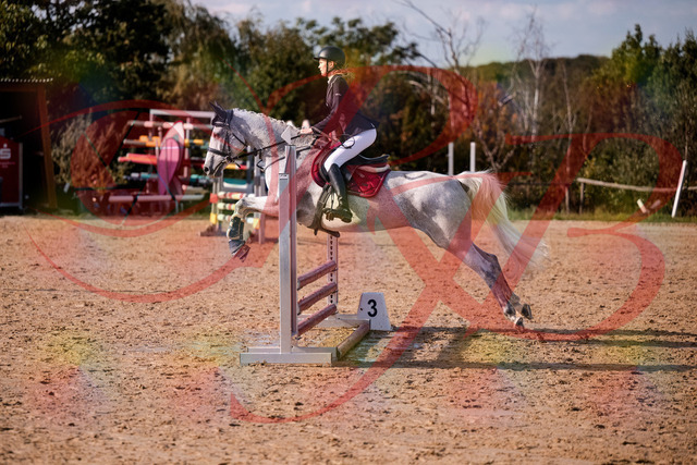 2026_10_03_Siefer-Hof_155127_Z81_70321098 | Professionelle Reitsport-, Turnier- und Eventfotografie von Robert Broda. Galerien mit ausgewählten und bearbeiteten Bildern direkt online ansehen und bestellen.