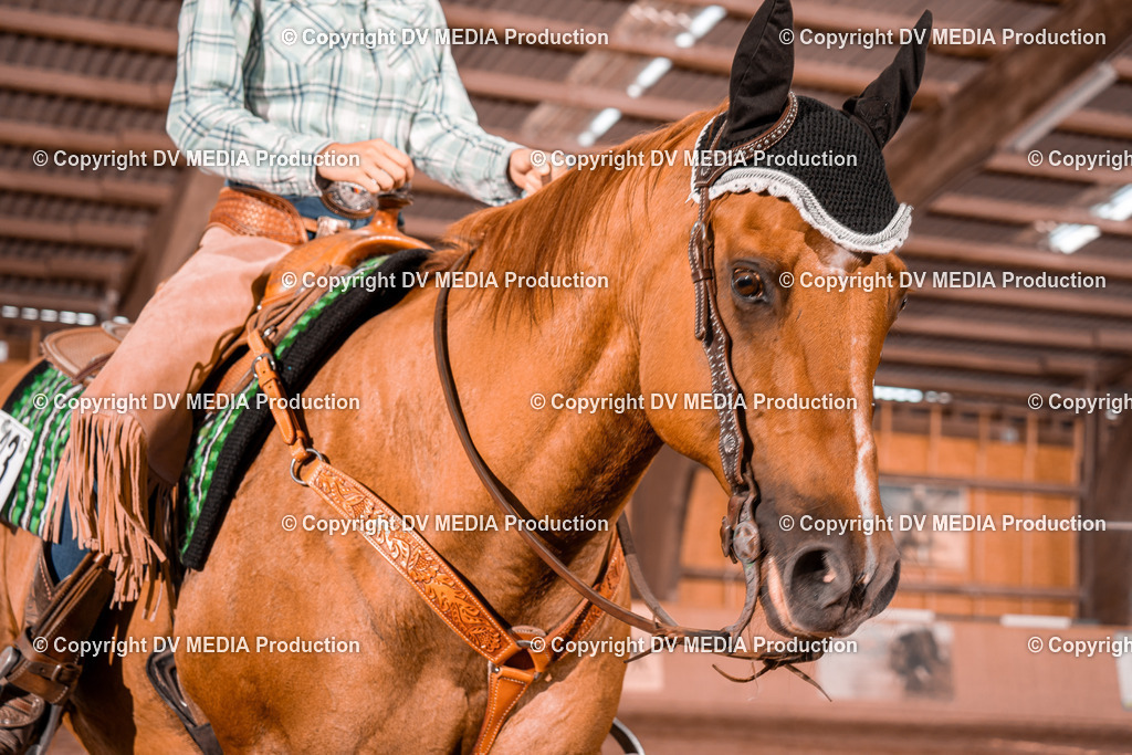 NE200718 | dv-media-shop - Realisiert mit Pictrs.com