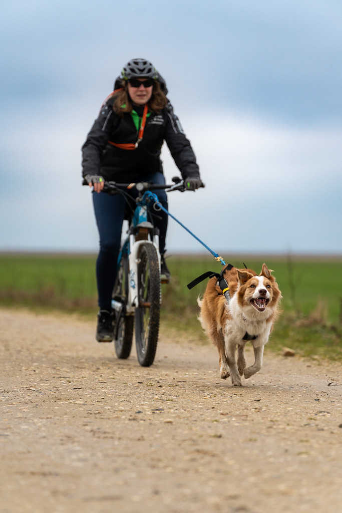 allesWIRTHgut Tierfotografie - A7404291 | Professionelle Tierfotografie in Mönchengladbach von Daniel Wirth (allesWIRTHgut). Liebevolle & natürliche Bilder von Hunden & Katzen für unvergessliche Erinnerungen.