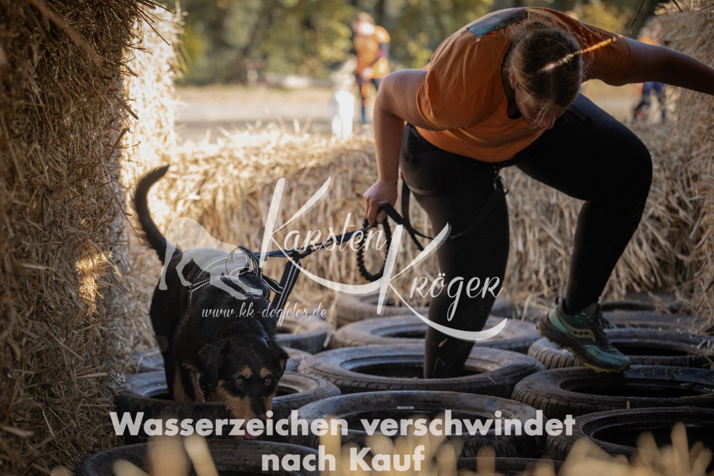 1122_ZZ91238 | kk-dogfotos