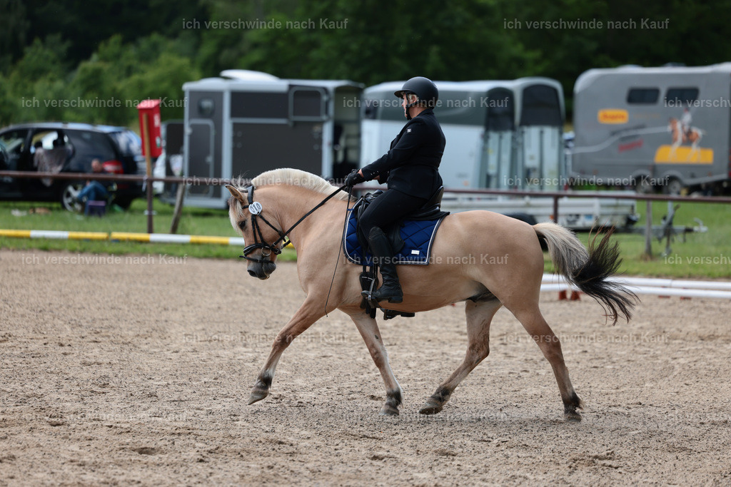 KlasseE_Stoibphotography_CAM22345.JPG | working equitationturnier fotograf videograf stoibphotography marixx film working equitation deutschland reitsport turnierfotografie eventfotografie equestrian events