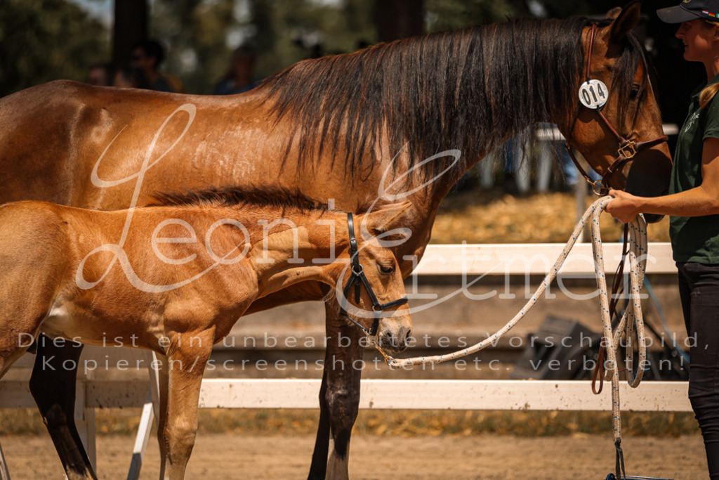 03.DoAB00067 | Leoni Ertmer Photography - Realisiert mit Pictrs.com