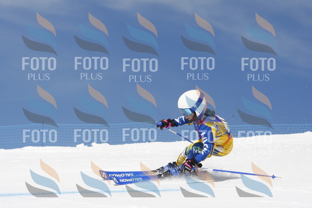 _W1G1762 | holidayphoto