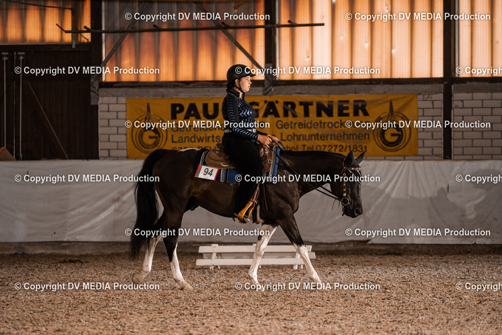 ZH200402 | dv-media-shop - Realisiert mit Pictrs.com