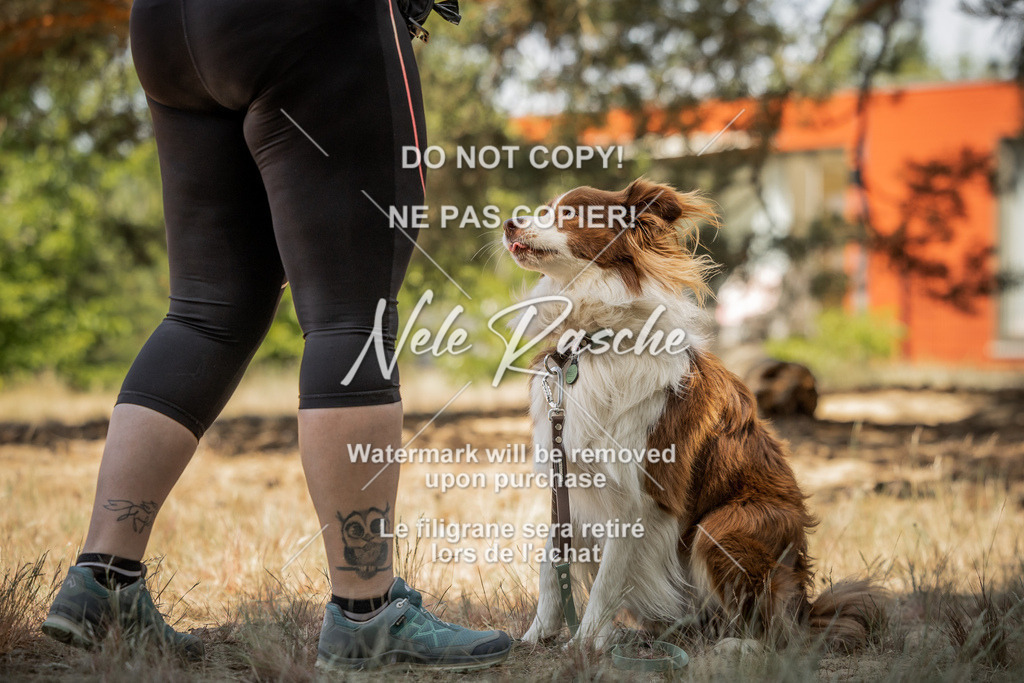 nelerasche_soDD3_134 | nelerasche