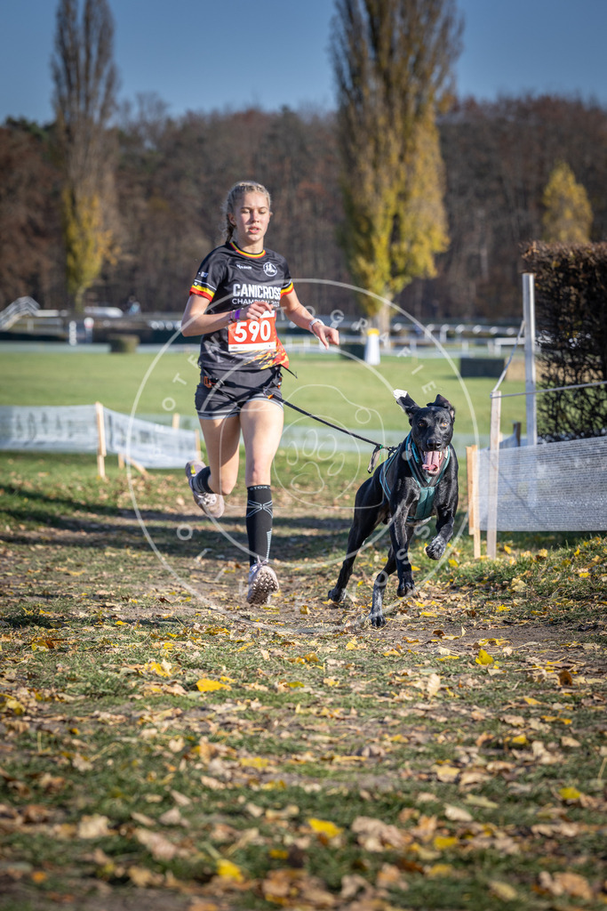 CaniXpix_DV3A9240 | Hundefotografie, Tierfotograf, Pfotenfotografie, Fotoshooting Hund, Hunde Portrait, Hundesport, Hundeportraits, Heideshooting, Hunde, Sportfotograf, Hundefotograf, Turnierhundsport, THS,  - Realisiert mit Pictrs.com