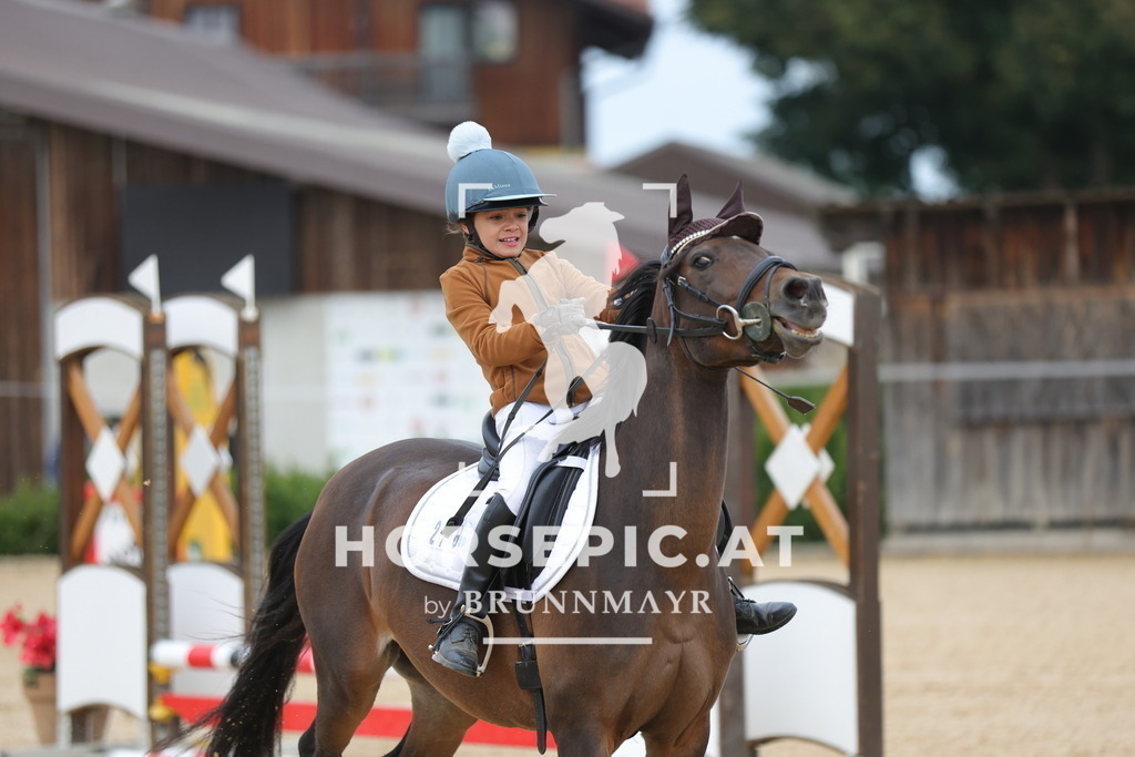 0P6A2606 | Willkommen bei Brunnmayr - Design & Fotografie – Ihrem Spezialisten für Reitturniere und Pferdeveranstaltungen in Oberösterreich, Salzburg und Bayern! Seit über 17 Jahren sind wir leidenschaftlich dabei.