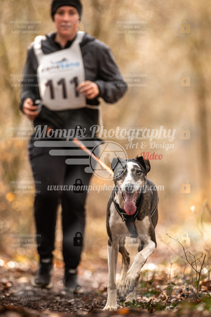 Reiat2023_SON_CaniXRun_5km_W-73 | PayLife