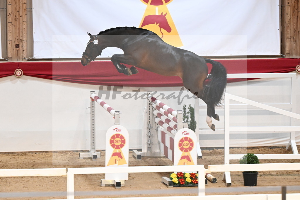 Kat.-Nr. 25 v. Jasper_Stabhalterhof_3261782 | hf-fotografie - Realisiert mit Pictrs.com