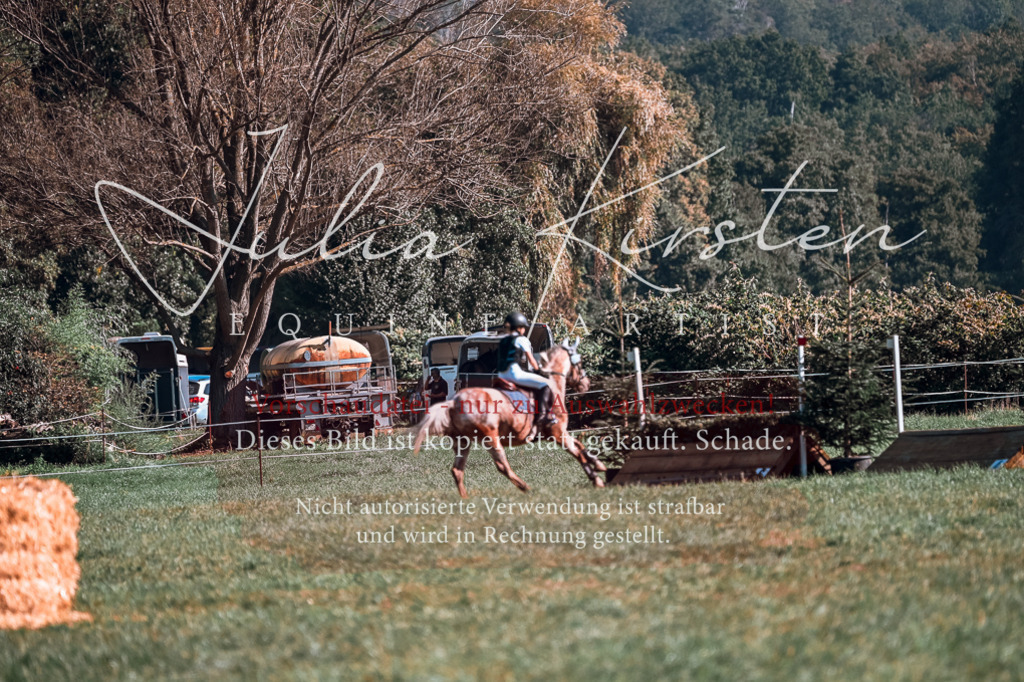 DSC_0705 | Pferde- und Turnierfotografie in Westsachsen. Pferdeportraits, Auftragszeichnungen und intuitive Kunst.