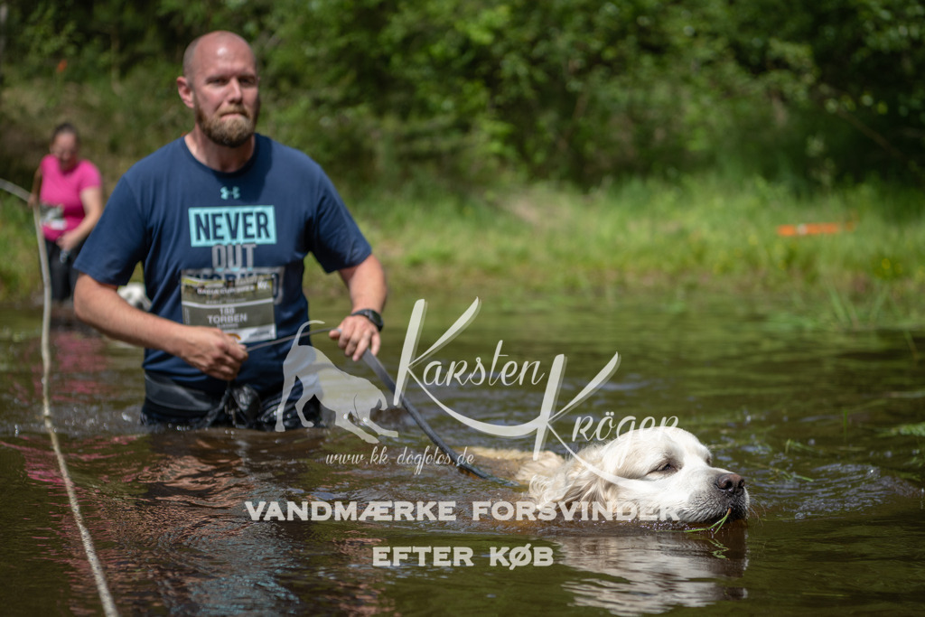 1223DKK992707 | kk-dogfotos