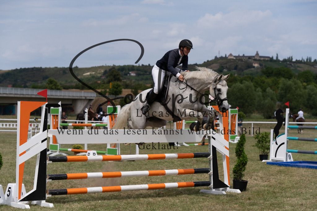 A7V02270 | Pferdefotograf