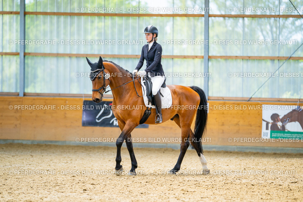 DSC09252 | Pferdegrafie