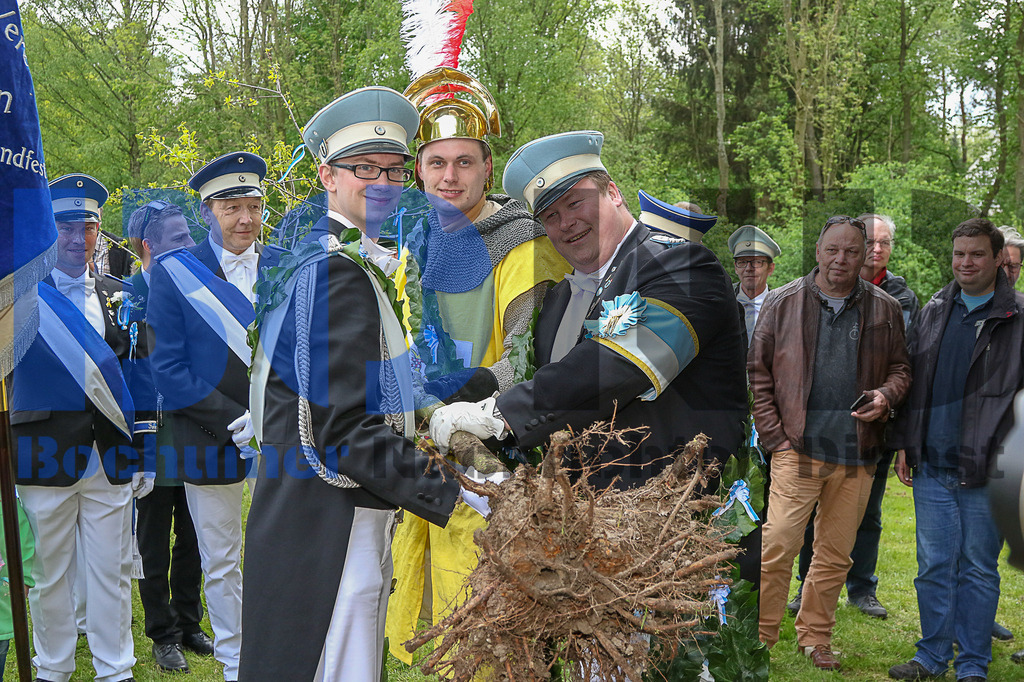 28.04.2018 - 
 | Sebastian Sendlak / Bochumer Nachrichtendienst (BOND) - Bochum Allgemein - Maischuetzen EIchausgrabung - Realisiert mit Pictrs.com