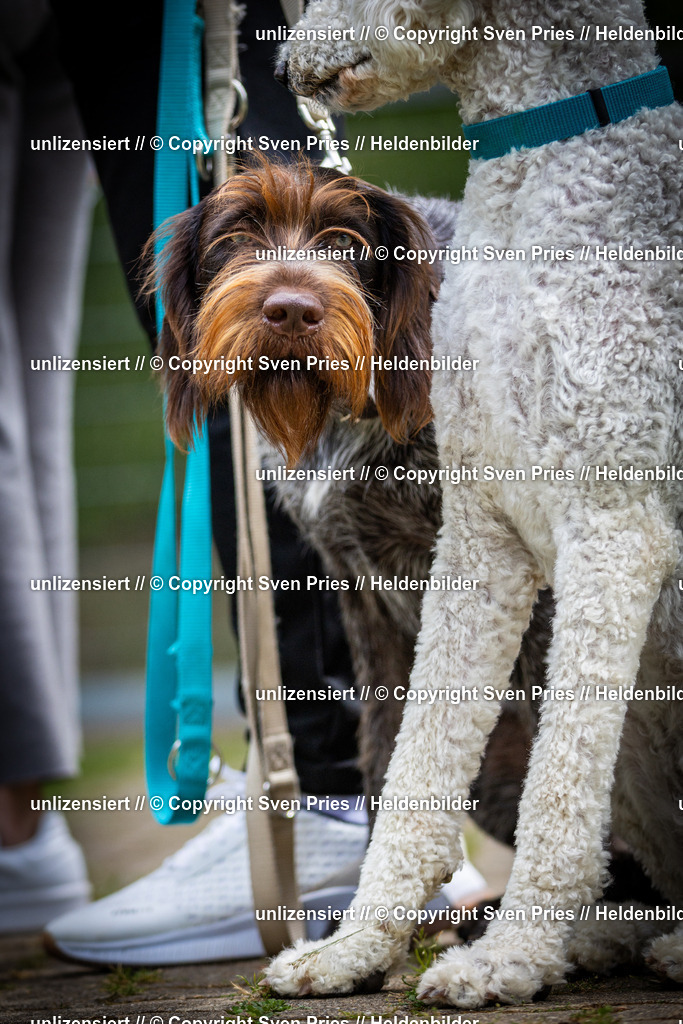 Sven Pries | 2025-05-29 - Pudelrennen KA-Durlach - Realisiert mit Pictrs.com