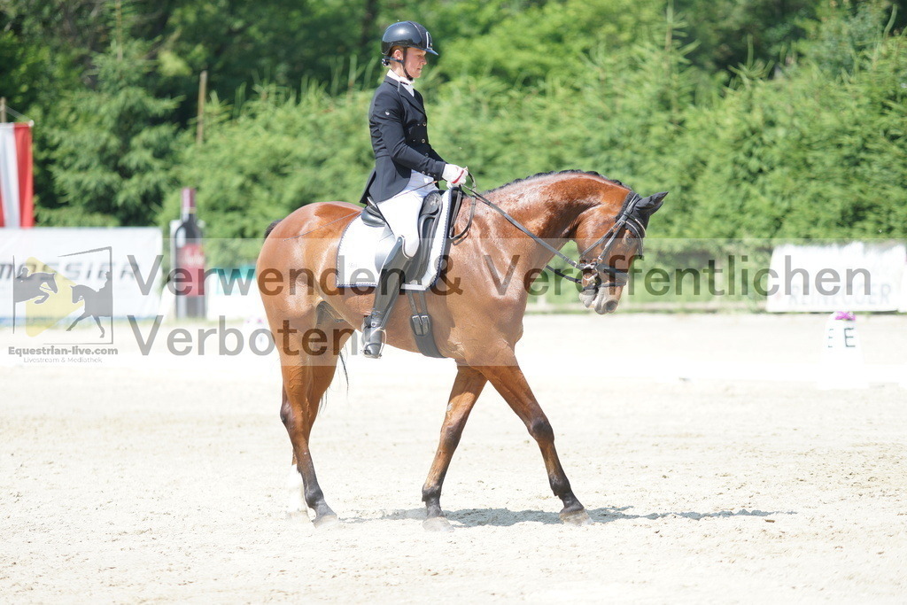 DSC01716 | equestrian-live-com