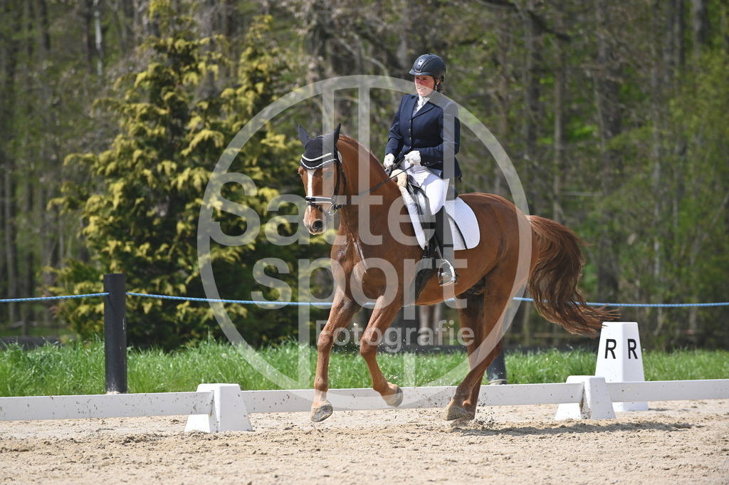 DSC_2960 | sattelsport - Realisiert mit Pictrs.com