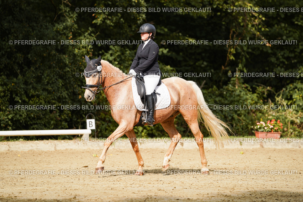 DSC03004 | Pferdegrafie