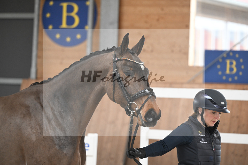Kat-Nr. 1 Cellestina v Cellestial_Steidl_14260512 | hf-fotografie - Realisiert mit Pictrs.com
