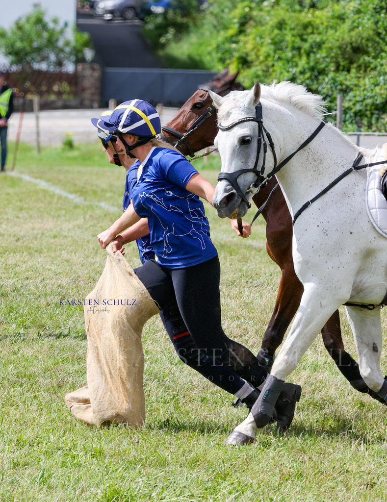 1B3A4717 | Reitsport Reiten