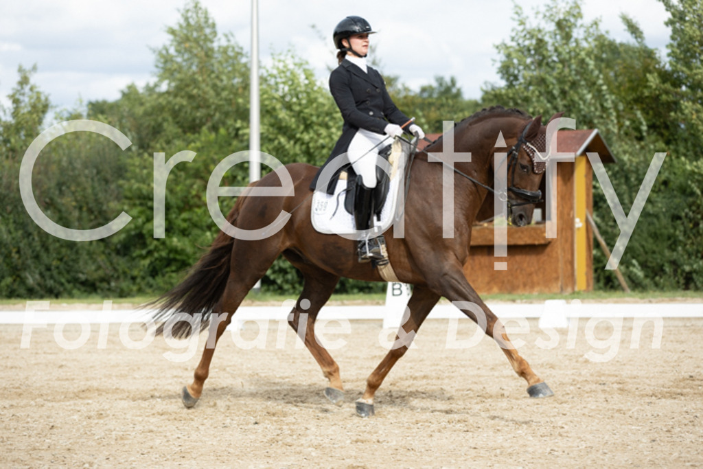 IMG_6901 | Creatify Fotografie