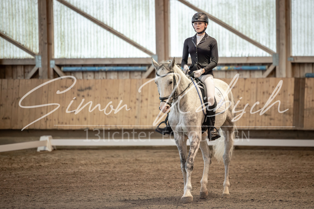 20251011-_3LI5657 | Tierfotografie Pferde, Hunde, Katzen, Haustiere.
Turnierfotografie Reitturniere, Reiten, Springreiten, Dressur in Hanau, dem Main-Kinzig-Kreis und dem Rhein-Main- Gebiet um Frankfurt