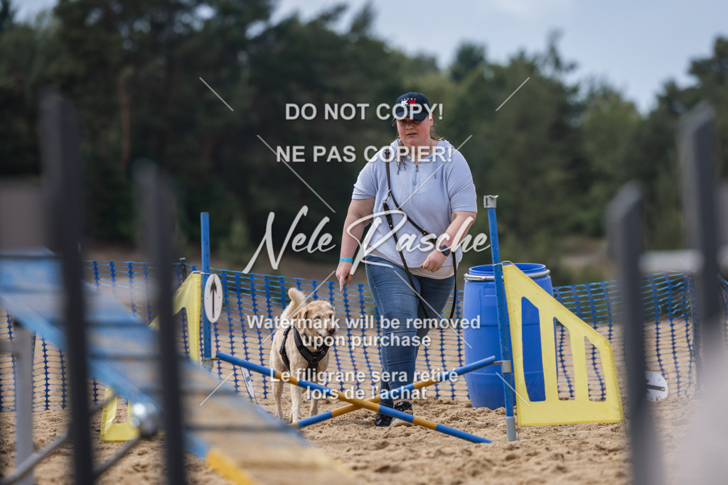 nelerasche_BuHu2026_So1530-Ende_62 | nelerasche
