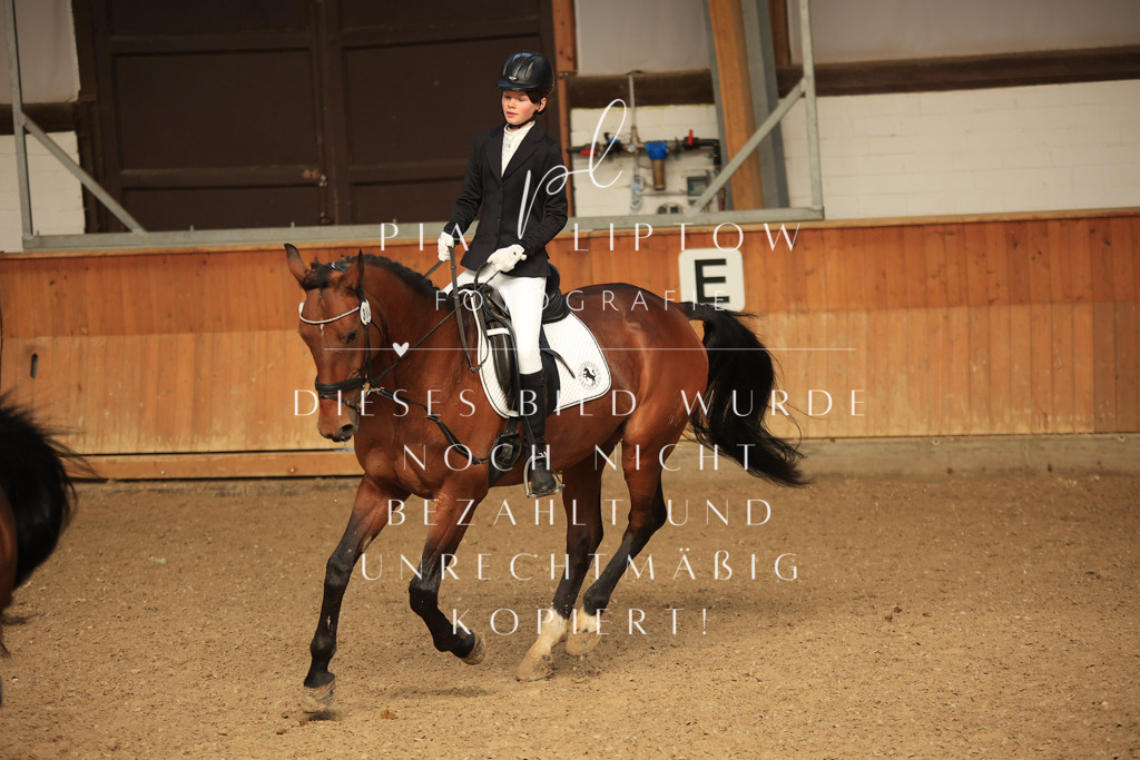 IMGT5397 | pl-fotografie