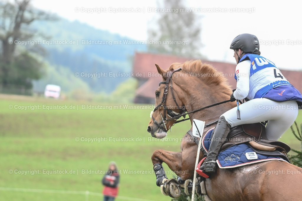 20230513_CCI4_Gelände_0540 | equistock