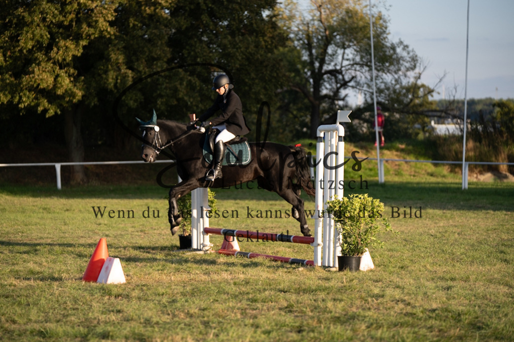 A7V04790 | Pferdefotograf