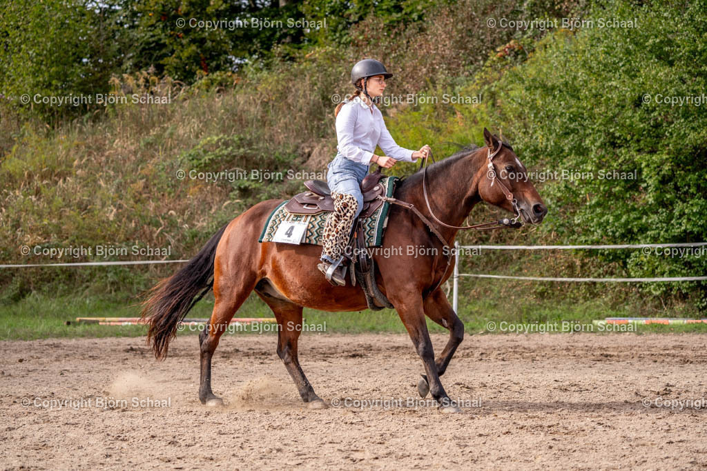 SAL03417 | BS-foto