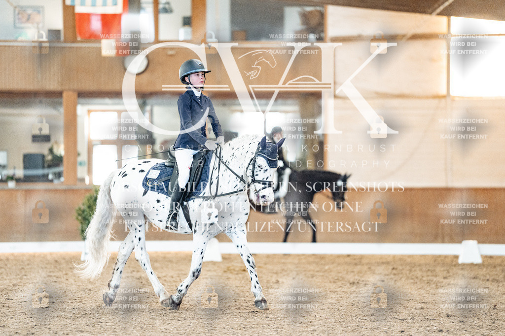 CK906818 | Turnierfotografie Pferdefotografie Trier Rheinland-Pfalz Pferdesport Reitsport Tierfotografie Sportfotografie Pferdevideo Pferdevideografie Equestrianvideography equestrianphotography  - Realized with Pictrs.com