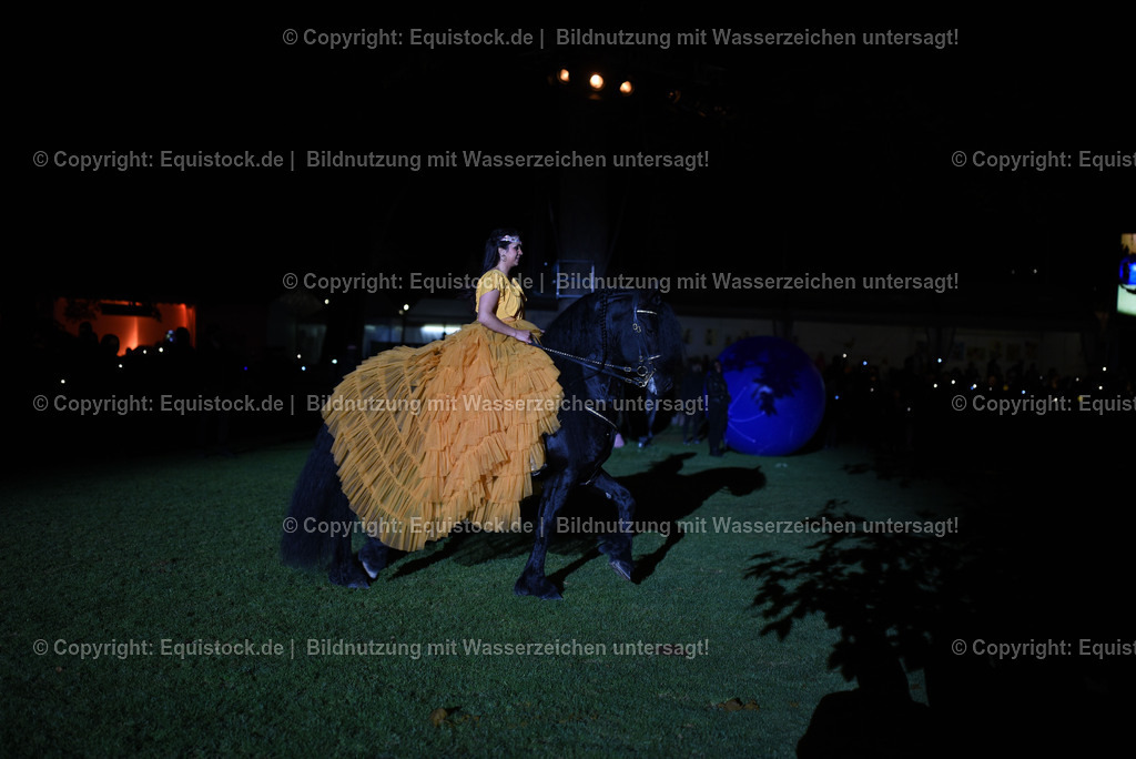 20230526_Pferdenacht_1559 | equistock