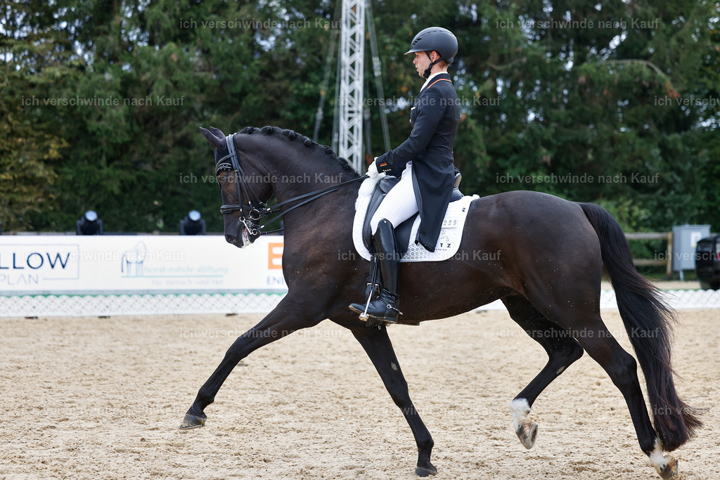12-229-DRESSUR  S___  -StoibPH-5338 | working equitationturnier fotograf videograf stoibphotography marixx film working equitation deutschland reitsport turnierfotografie eventfotografie equestrian events