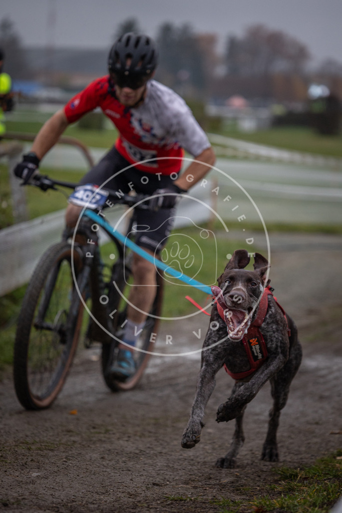 CaniXpix_0L8A1163 | Hundefotografie, Tierfotograf, Pfotenfotografie, Fotoshooting Hund, Hunde Portrait, Hundesport, Hundeportraits, Heideshooting, Hunde, Sportfotograf, Hundefotograf, Turnierhundsport, THS,  - Realisiert mit Pictrs.com