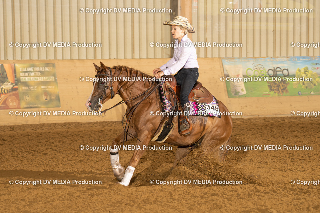 LAU00248 | dv-media-shop - Realisiert mit Pictrs.com