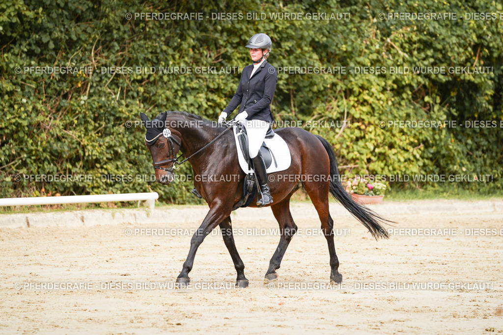 DSC01770 | Pferdegrafie