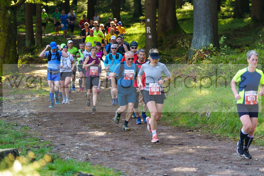 Rennsteiglauf 2023 | Rennsteiglauf 2023 am 12. Mai 2023 - Marathon-Strecke Neuhaus/Rwg. - Schmiedefeld