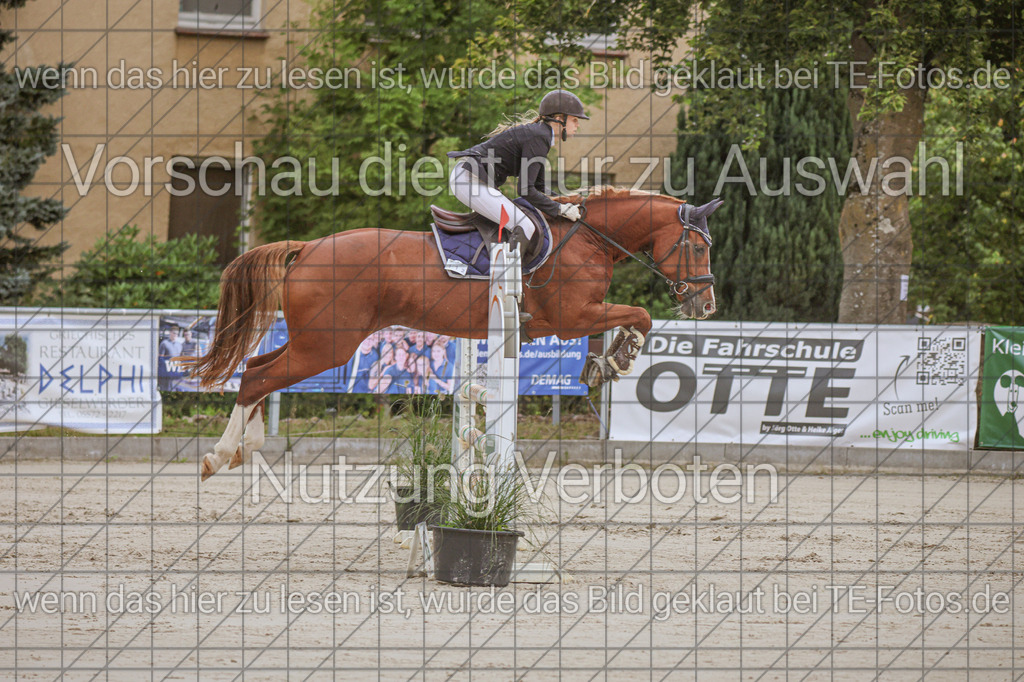 2025-09-22_09-38-48_MG_4080 | TE-Fotos