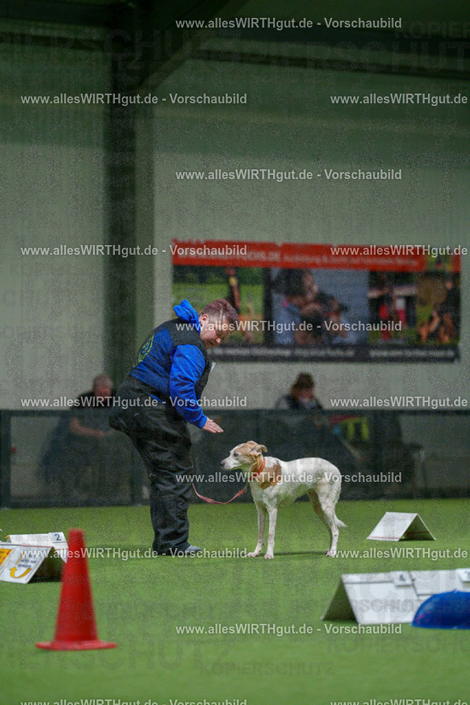 7R504531 | Professionelle Tierfotografie in Mönchengladbach von Daniel Wirth (allesWIRTHgut). Liebevolle & natürliche Bilder von Hunden & Katzen für unvergessliche Erinnerungen.