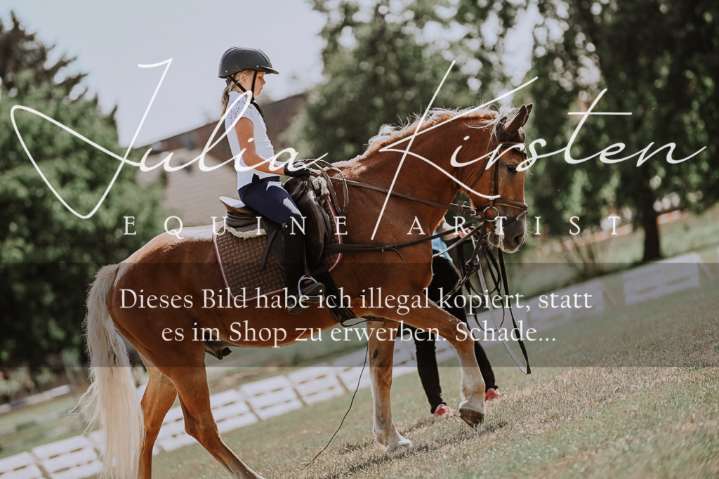 DSC_7828 | Pferde- und Turnierfotografie in Westsachsen. Pferdeportraits, Auftragszeichnungen und intuitive Kunst.