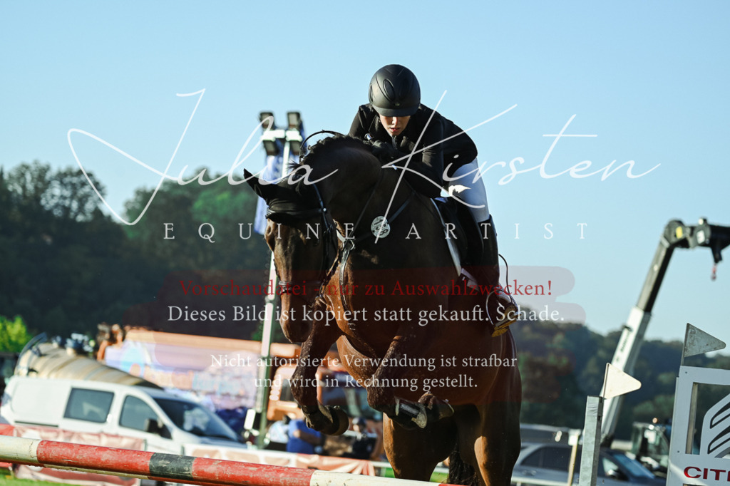 DSC_4201 | Pferde- und Turnierfotografie in Westsachsen. Pferdeportraits, Auftragszeichnungen und intuitive Kunst.