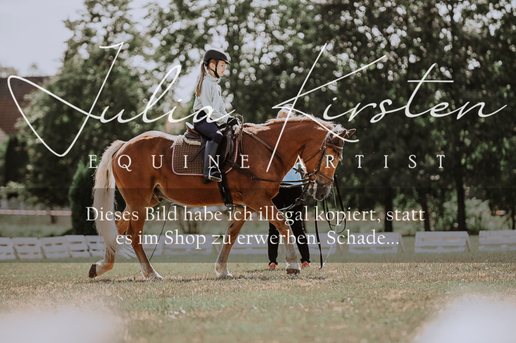 DSC_7566 | Pferde- und Turnierfotografie in Westsachsen. Pferdeportraits, Auftragszeichnungen und intuitive Kunst.