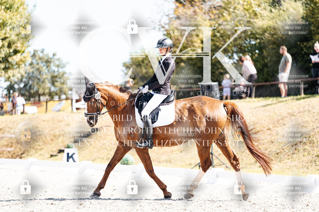 CK903910 | Turnierfotografie Pferdefotografie Trier Rheinland-Pfalz Pferdesport Reitsport Tierfotografie Sportfotografie Pferdevideo Pferdevideografie Equestrianvideography equestrianphotography  - Realisiert mit Pictrs.com